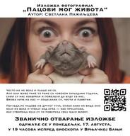 Photo Exhibition "Rats of My Life"