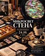 Научный мастер-класс: О корнях геологии в Сербии