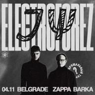 Elektroforez