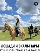 Лошади и скалы Тары
