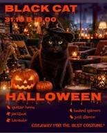 Black Cat Halloween žurka