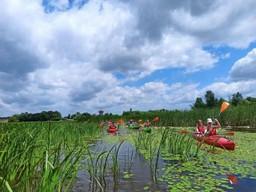 Каякинг в Засавице