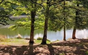 Route with a Biologist: Goč Lake and Mount Lukten — moderate difficulty