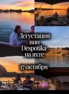 Дегустация вин на яхте