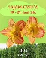 Flower and Plant Fair