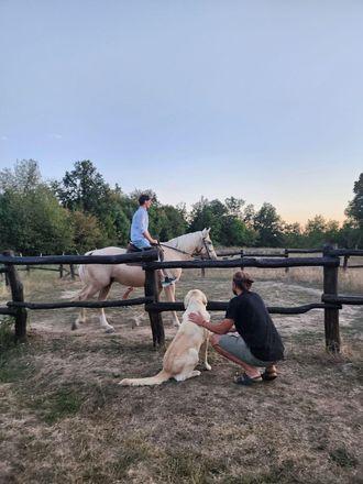Конная академия 🏇