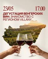 🍷 Hungarian Wine Tasting: Introduction to the Villány Region and the Wines of Gere
