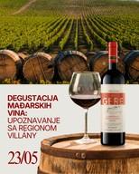 Hungarian Wine Tasting: Exploring the Villány Region
