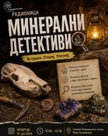 Мастер-класс по минералам и окаменелостям