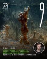 Immersion in Beauty — film screening and discussion with the photographer