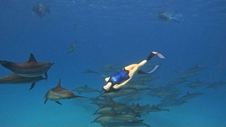 Regular Freediving Classes
